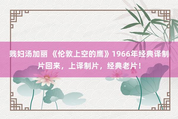 贱妇汤加丽 《伦敦上空的鹰》1966年经典译制片回来，上译制片，经典老片！