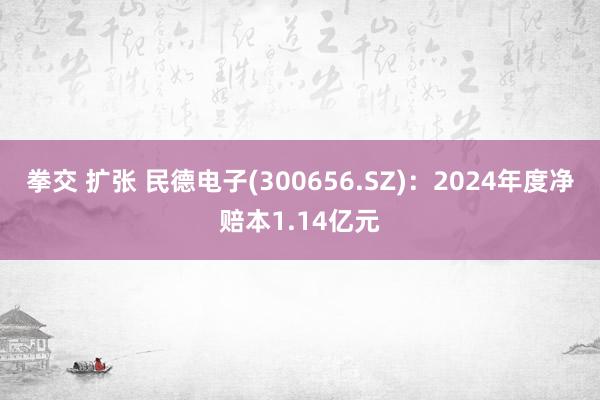 拳交 扩张 民德电子(300656.SZ)：2024年度净赔本1.14亿元