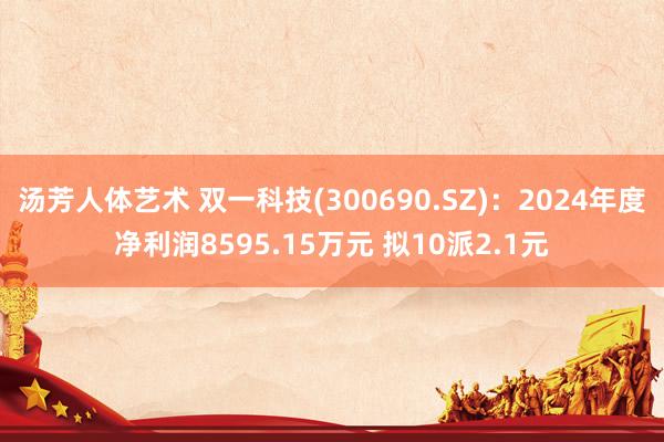 汤芳人体艺术 双一科技(300690.SZ)：2024年度净利润8595.15万元 拟10派2.1元