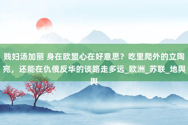 贱妇汤加丽 身在欧盟心在好意思？吃里爬外的立陶宛，还能在仇俄反华的谈路走多远_欧洲_苏联_地舆