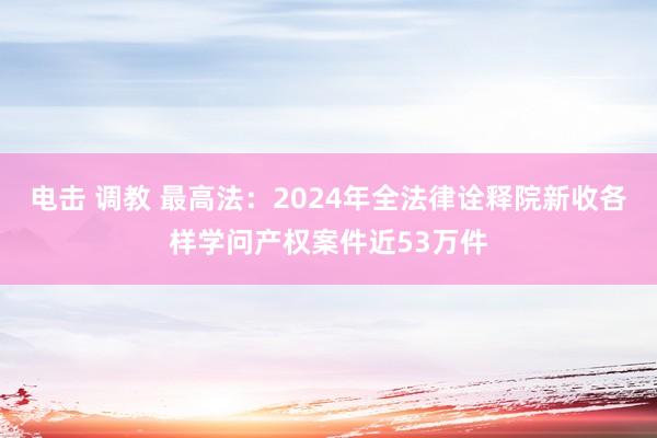 电击 调教 最高法：2024年全法律诠释院新收各样学问产权案件近53万件