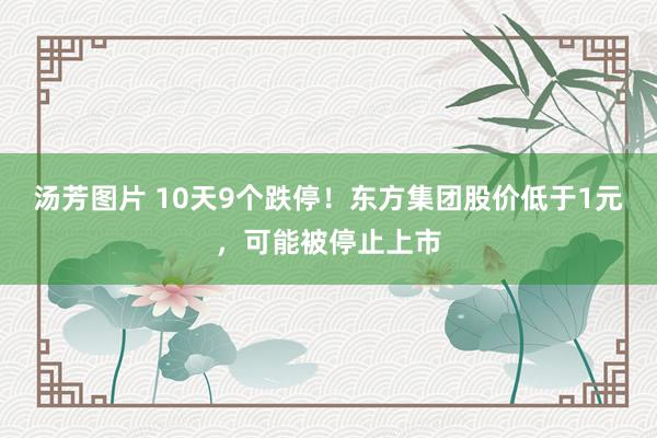 汤芳图片 10天9个跌停！东方集团股价低于1元，可能被停止上市