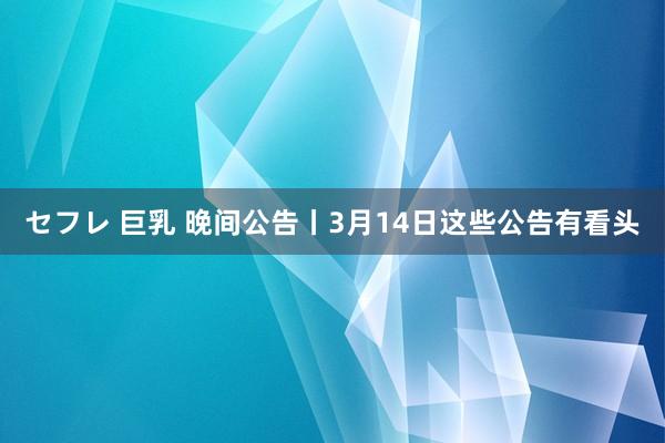 セフレ 巨乳 晚间公告丨3月14日这些公告有看头