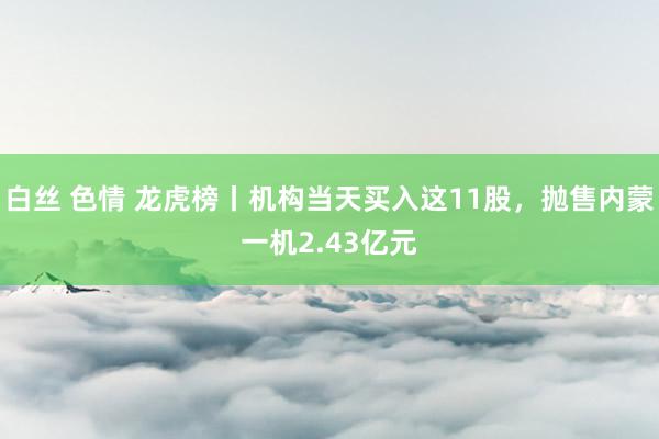 白丝 色情 龙虎榜丨机构当天买入这11股，抛售内蒙一机2.43亿元