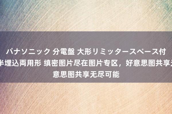パナソニック 分電盤 大形リミッタースペース付 露出・半埋込両用形 缜密图片尽在图片专区，好意思图共享无尽可能