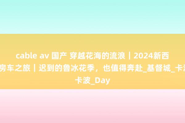 cable av 国产 穿越花海的流浪｜2024新西兰南岛房车之旅｜迟到的鲁冰花季，也值得奔赴_基督城_卡波_Day