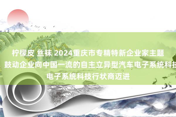 柠檬皮 丝袜 2024重庆市专精特新企业家主题宣传｜陈伟：鼓动企业向中国一流的自主立异型汽车电子系统科技行状商迈进