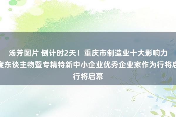 汤芳图片 倒计时2天！重庆市制造业十大影响力年度东谈主物暨专精特新中小企业优秀企业家作为行将启幕