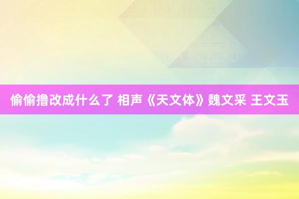 偷偷撸改成什么了 相声《天文体》魏文采 王文玉